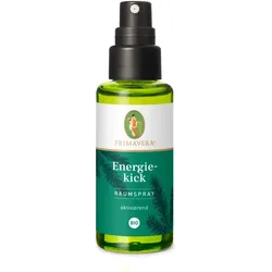 Primavera Raumspray Energiekick bio