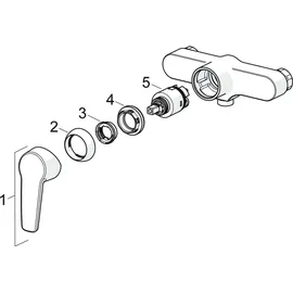 Hansa Hansapolo Duscharmatur Aufputz für 1 Verbraucher Chrom 51450163
