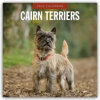Brown trout-auslieferer flechsig Cairn Terriers - Cairn Terrier 2026