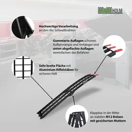 Baumarktplus TRUTZHOLM 1 x Auffahrrampe klappbar 180 cm Traglast 340 kg Alu schwarz