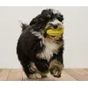 Tchibo - Hunde-Zahnpflege-Ball - gelb