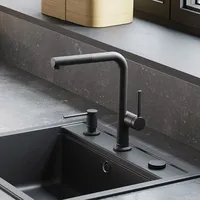 Hansgrohe LivaFine Küchenarmatur schwarz