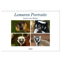 Calvendo Lemuren Portraits (Wandkalender 2026 DIN A4 quer), CALVENDO