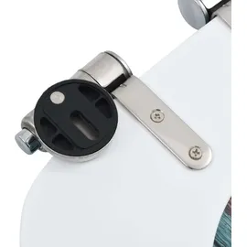 vidaXL Toilettensitz MDF Altholz-Design Türkis