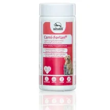 Fortan Carni-Fortan Pulver 80 g