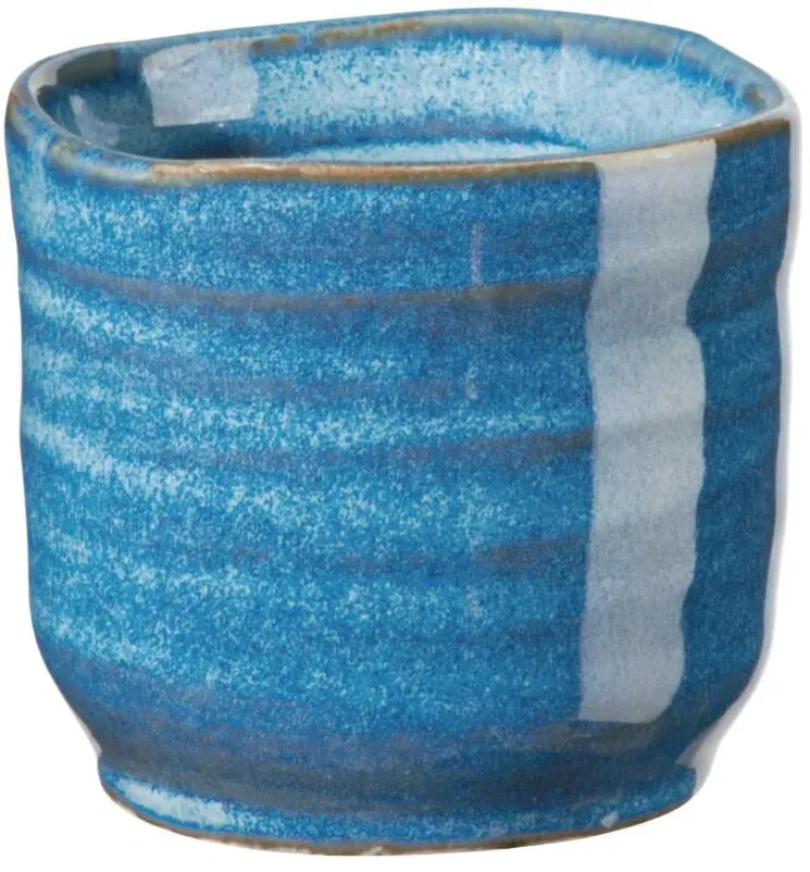 Asa Selection Poké Cup