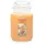 Yankee Candle Mango Ice Cream Duftkerze 623 g orange