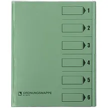 BENE Ordnungsmappe A4 Grün