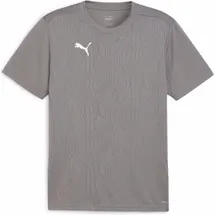 Puma teamFINAL Training Jersey grau M