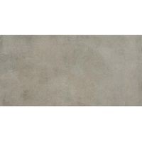 Terrassenplatte Feinsteinzeug Revesto Grau glasiert matt 120 x 60 x 2 cm