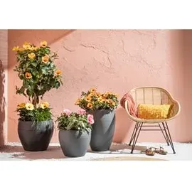 Scheurich Lineo 282 Ø 40 x 33 cm schwarz/granit