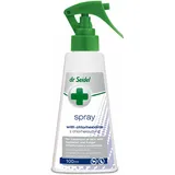 Laboratorium DermaPharm Chlorhexidin-Spray 100 ml