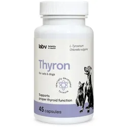 Thyron – Unterstützung der normalen Schilddrüsenfunktion, 90 Kapseln
