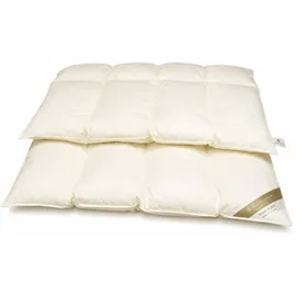 Betten Hofmann 4-Kammer Daunenbett Steppdecke Daunendecke 135x200 cm 1200 g 60% Daunen warm