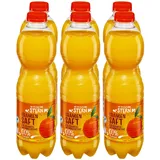 Fruchtstern Orangensaft 1 Liter, 6er Pack