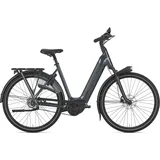 Gazelle Arroyo C5 Elite 2026 28 Zoll RH 46 cm Damen grau