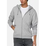 Only & Sons Sweatjacke 'Ceres' grau