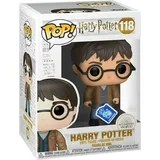 Funko Pop! Harry Potter - Harry Potter (Funko Club exklusiv!)