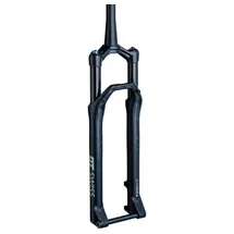 DT Swiss F 232 One Remote Boost 29 Zoll 100 mm Schwarz