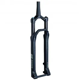DT Swiss F 232 One Remote Boost 29 Zoll 100 mm Schwarz