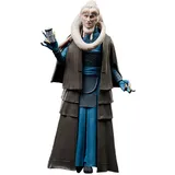 Hasbro The Black Series Bib Fortuna, Action-Figur Rückkehr der Jedi-Ritter, 15 cm