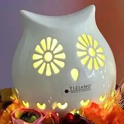 Eule Cora Blume 12cm LED cremeweiß