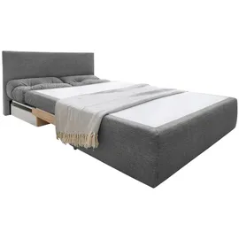luma-home Schlafsofa Mikrofaser 2-Sitzer Grau