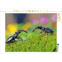 Calvendo Zwei männliche Hirschkäfer Puzzle