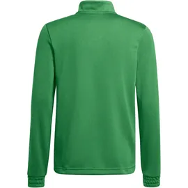adidas Entrada 22 Sweatshirt Grün/Weiß L