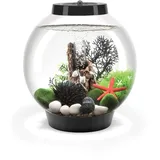 OASE GmbH CLASSIC 15 15,0 l Nanoaquarium schwarz