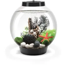 OASE GmbH CLASSIC 15 15,0 l Nanoaquarium schwarz