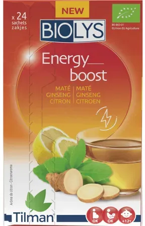 Biolys Energy Boost Maté/Ginseng/Zitrone 24 Beutel