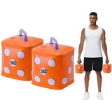 DEIRIS Wasser Hanteln set, Wasser Gewichte Training, Reisehanteln, Würfel mit übungen Sport 10 kg/Paar, Workout Würfelspiel für Rumpftraining, Krafttraining