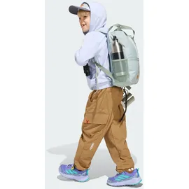 adidas Minecraft Terrex Braun 164