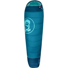 TROLLKIDS Kinder Fjell Dreamer Schlafsack (Größe max. 170cm, blau)