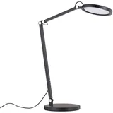 Fabas Luce Regina Schwarz