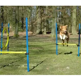 Dobar Agility Sprung-Set 100 x 76 cm Blau/Gelb