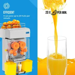 Royal Catering Orangenpresse - elektrisch - automatisch - 200 W - 20 Orangen/min -