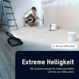 Ansmann FL50W-R 50 W