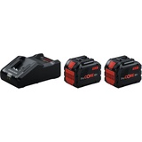 Bosch Professional Starterset ProCore 18 V Li-Ion 2 x 12,0 Ah 1600A02T5W