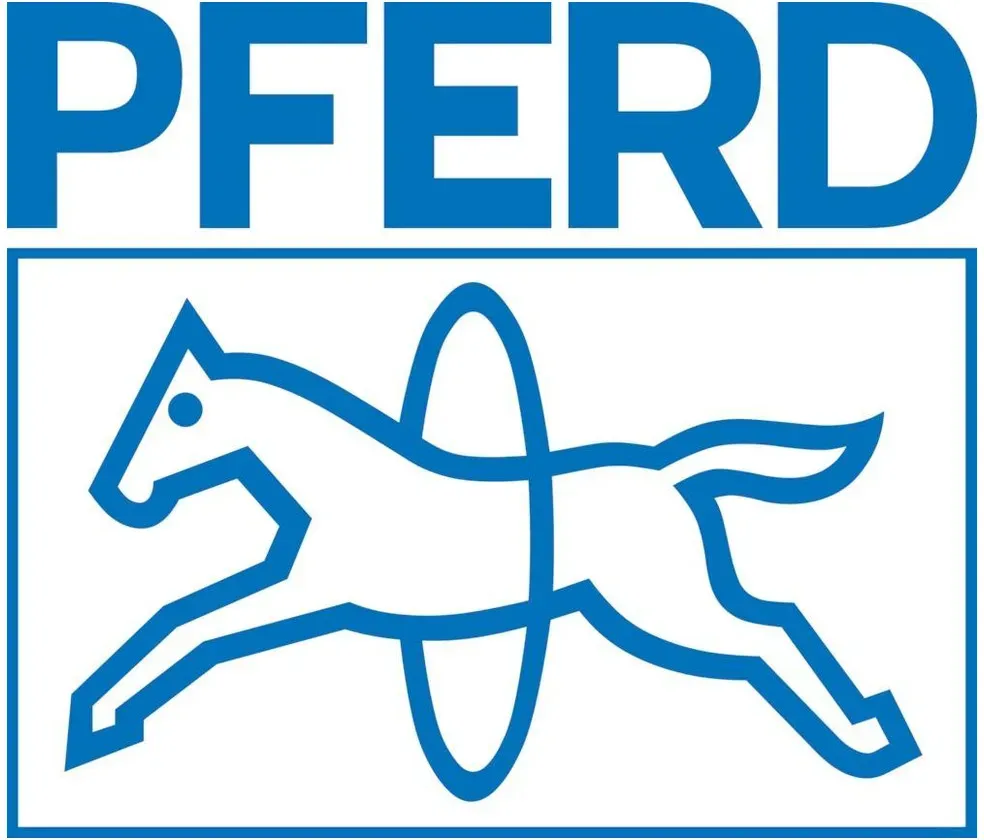 Pferd PF Flachspitze Feile D7261 B 200 mm H1