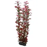 Dohse HOBBY Ludwigia 34 cm