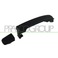 PRASCO DS8148011