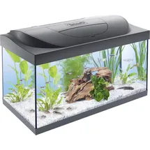 Tetra Starter Line LED 54L, Aquarium - inkl. Tag- & Nachtlicht LED-Beleuchtung, Innenfilter, Heizer, Fischfutter und Wasseraufbereiter