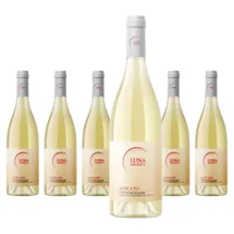 Mondo del Vino Luna Argenta Moscato Terre Siciliane 2023 0,75 l