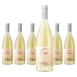 Mondo del Vino Luna Argenta Moscato Terre Siciliane 2023 0,75 l