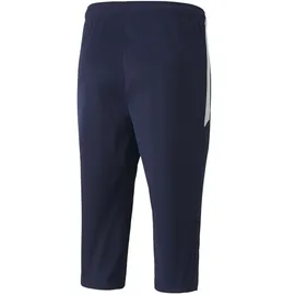 Puma teamLIGA Training 34 Pants Peacoat/Puma White L