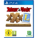 Asterix & Obelix XXXL: Der Widder aus Hibernia - Limited Edition