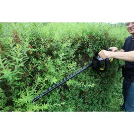 TEXAS HTZ5800 58 cm ohne Akku