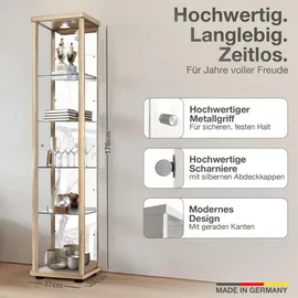 K-Möbel Vitrine Sammlervitrine 176 x 37 x 33 cm Braun